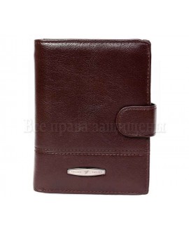 Компактное коричневое портмоне с отделением для паспорта в категории кошельки оптом Украина T256CRIMSONmen